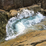 IMGP1851