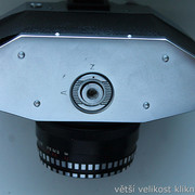 IMG-4213