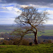 DSCF1390-900