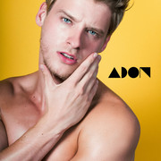 image-asset