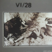 IMG-1122