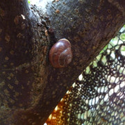 P1160125