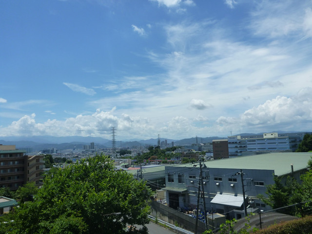 P1330923.jpg