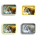 TigerBengal_Adult_F.png
