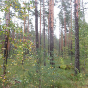 IMG-9649