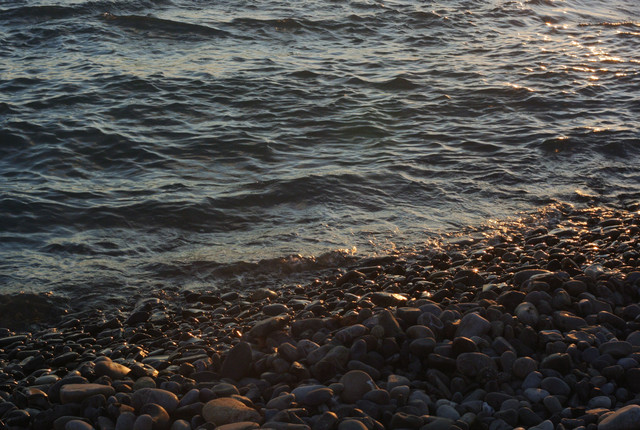 DSC-6846.jpg