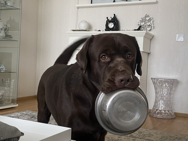 EFC4972-E-5034-4517-9-A21-D559-FB54-E591