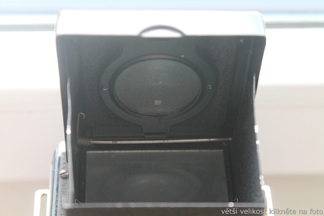 IMG-2548.jpg