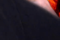 Fliege-Karl-2.gif