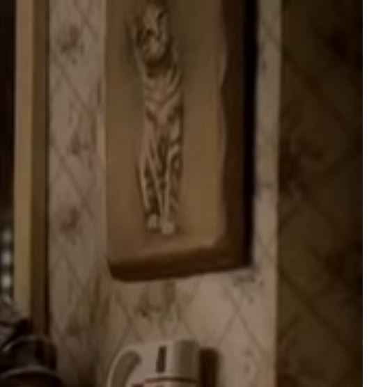 cat.jpg