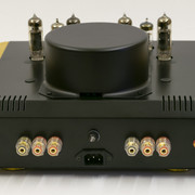 Amp01back