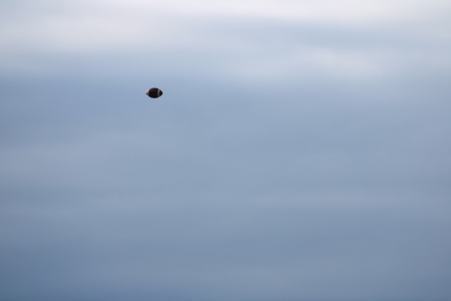 IMG-2155.jpg