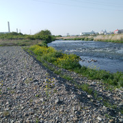 DSC-0035