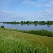 2021-05-10-120