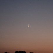 IMG-4705