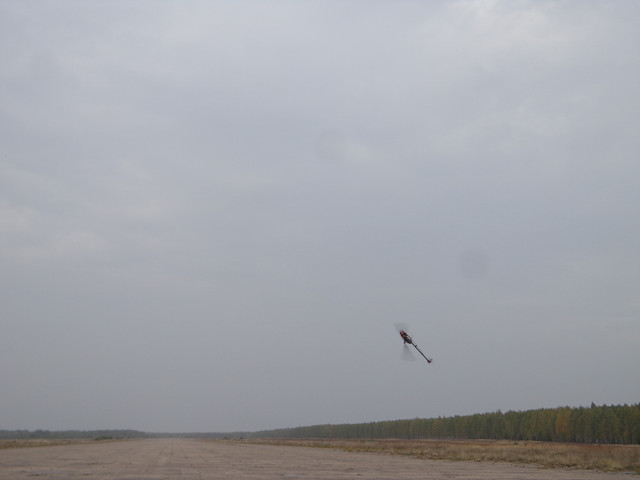 DSC03266.jpg