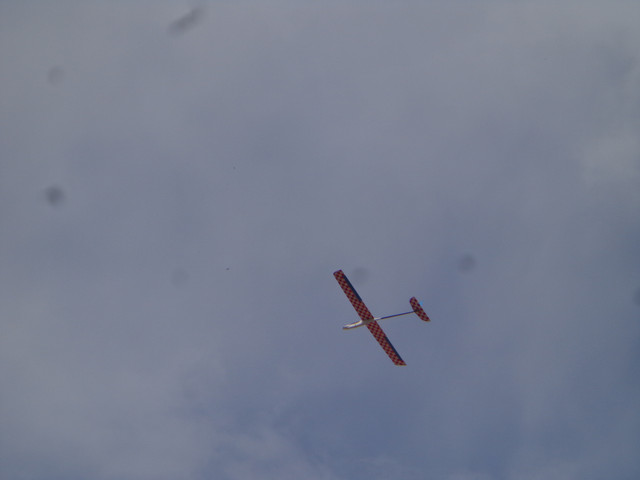 DSC00561.jpg