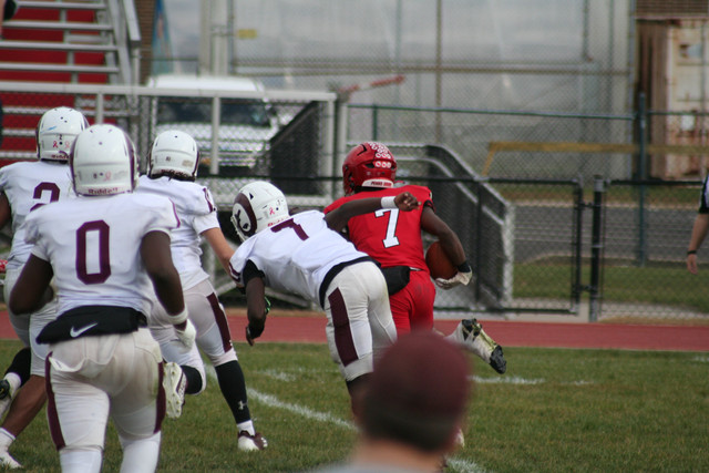 IMG-2316.jpg