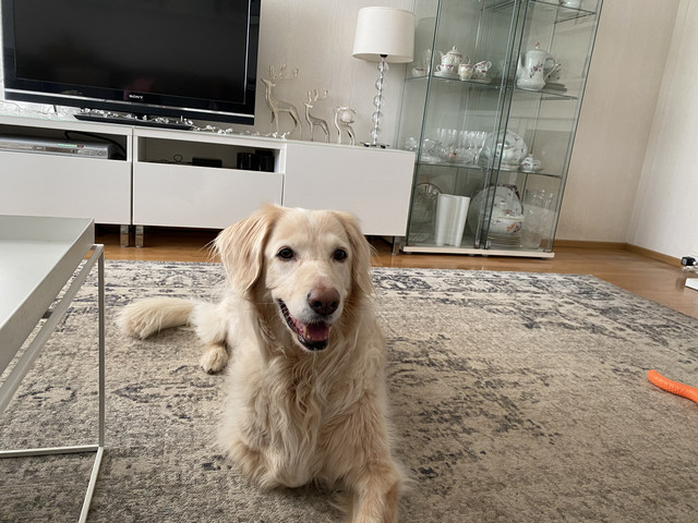 80322512-7-D01-4-E15-9302-4-B18819386-B8