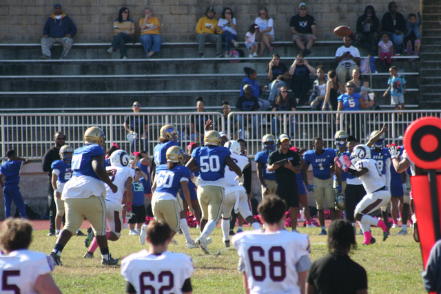 IMG-0994.jpg