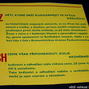 IMG-8623