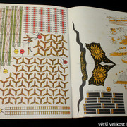 IMG-4528