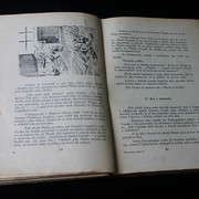 IMG-5824