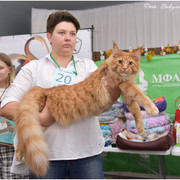 DSC-0536