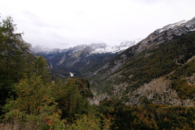 IMG-0247