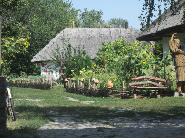 IMG 4864
