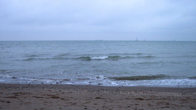 IMG-1614