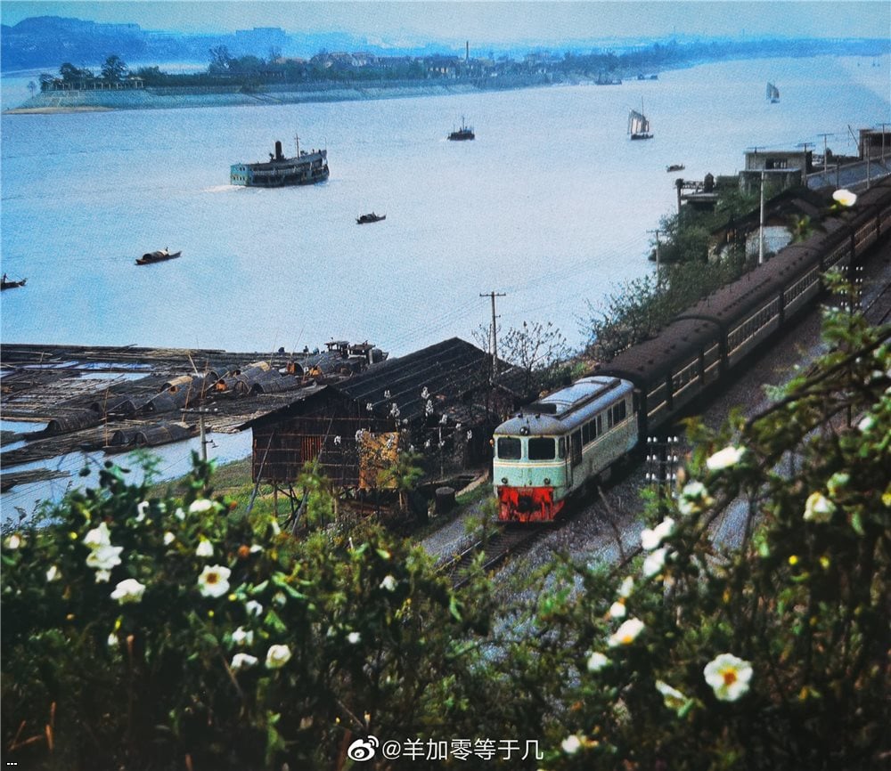 1981
