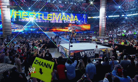 [Image: Wrestlemania-28-1.gif]