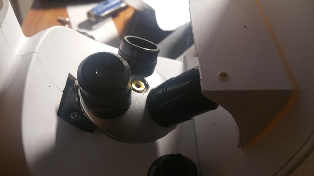 20210128-081113.jpg