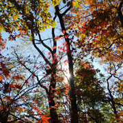 IMG-20221215-125652