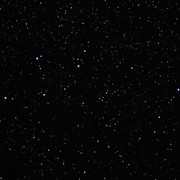 cel-1