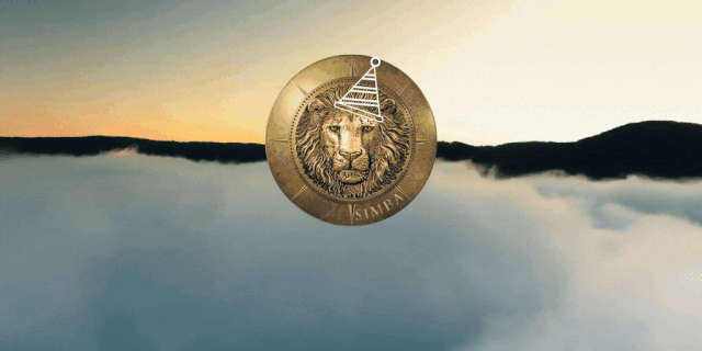 SIMBA-STORAGE-1