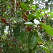 P1070766