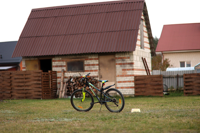 IMG-00011