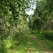 IMG-4037