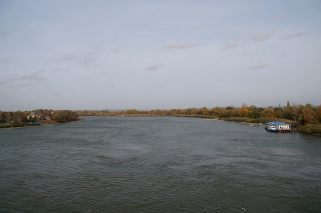 DSC08176.jpg