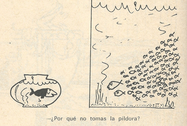 CHISTE EROS 7