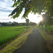 P1330702