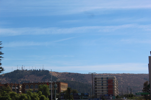 IMG-2239