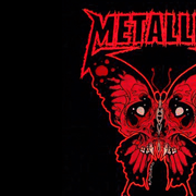header43