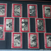 IMG-2334