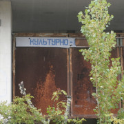 OLYMPUS-DIGITAL-CAMERA