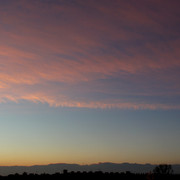 IMG-2973