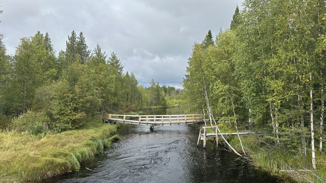 IMG 5577.jpg
