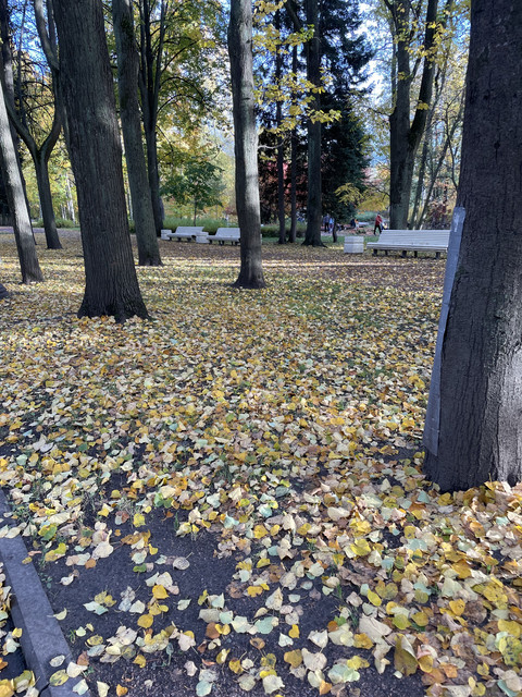 IMG-1211